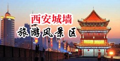 爆菊花影院中国陕西-西安城墙旅游风景区