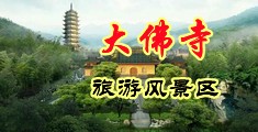 女人逼让大鸡巴操开花视频中国浙江-新昌大佛寺旅游风景区